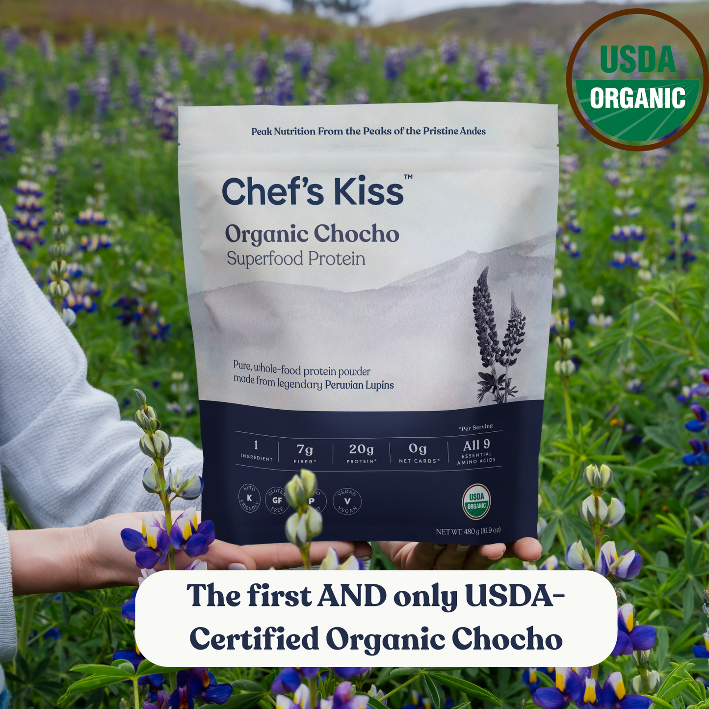 Organic Chocho Lupin Powder