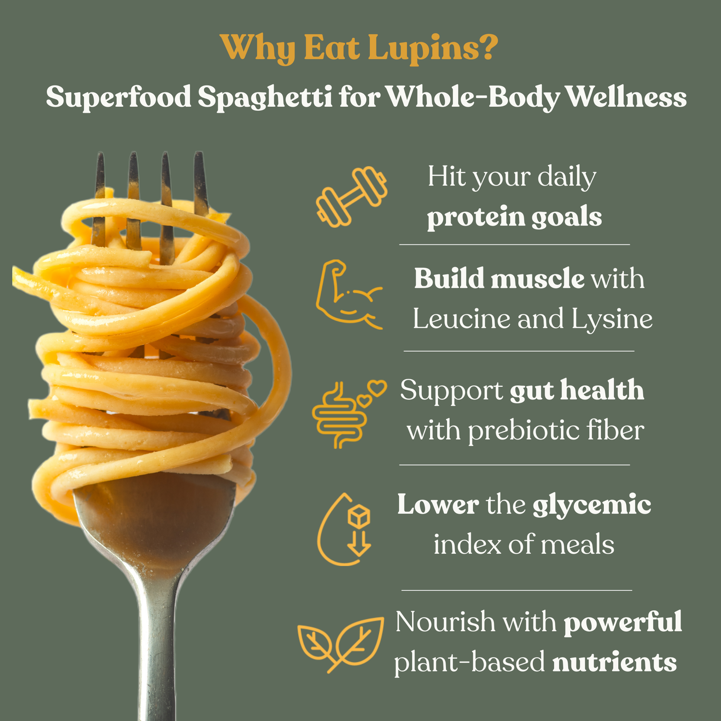 Classic Protein Spaghetti